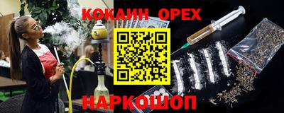 гашик Будённовск