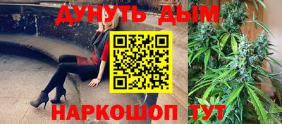 гашик Будённовск