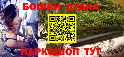 гашик Будённовск