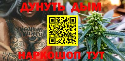 гашик Будённовск